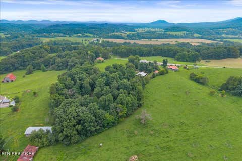 Tiny photo for 160 Rural Vale Rd, Tellico Plains, TN 37385 (MLS # 1349997)