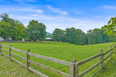 Tiny photo for 160 Rural Vale Rd, Tellico Plains, TN 37385 (MLS # 1349997)