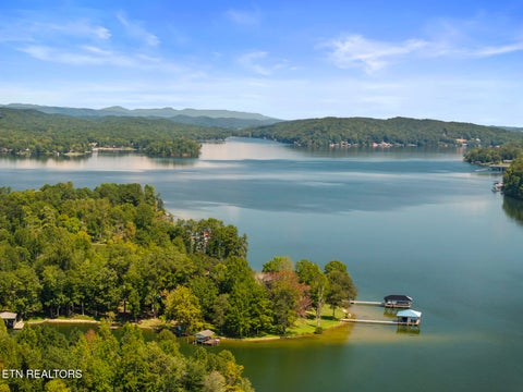 Tiny photo for 251 Horseshoe Bend Rd, Spring City, TN 37381 (MLS # 1355407)