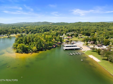 Tiny photo for 251 Horseshoe Bend Rd, Spring City, TN 37381 (MLS # 1355407)