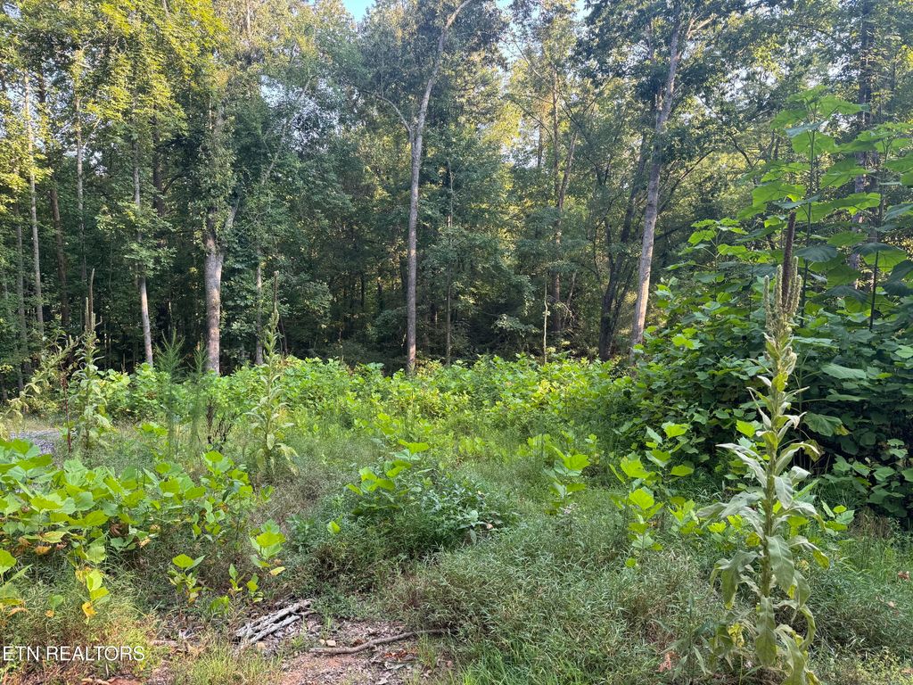 Photo of 0 Trillium Circle, Harriman, TN 37748 (MLS # 1292735)