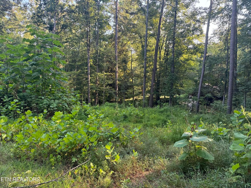 Photo of 0 Trillium Circle, Harriman, TN 37748 (MLS # 1292735)