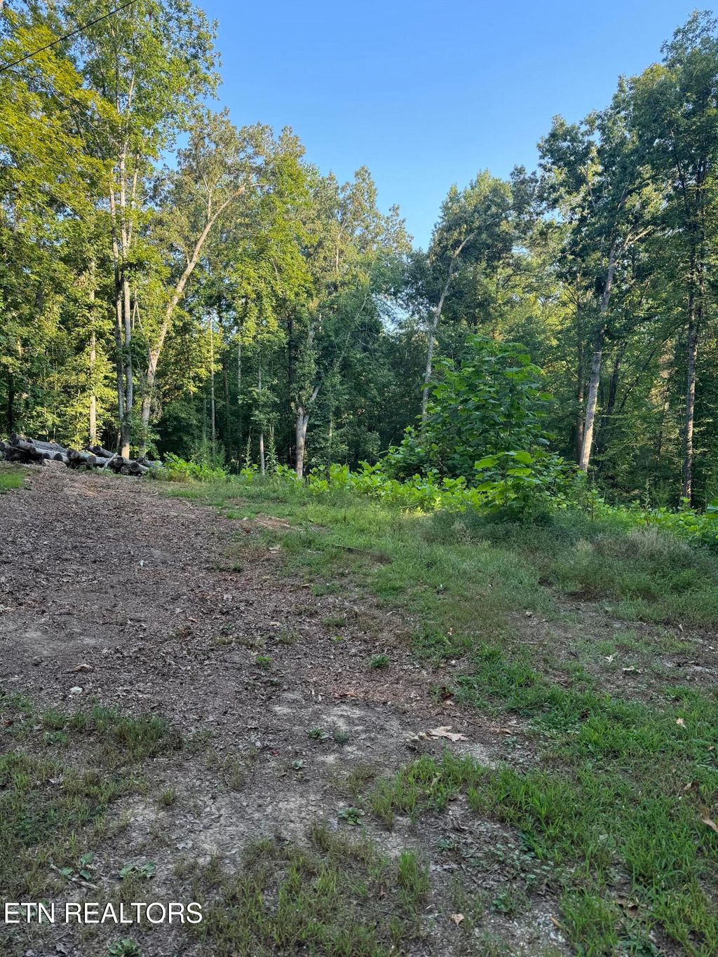 Photo of 0 Trillium Circle, Harriman, TN 37748 (MLS # 1292735)