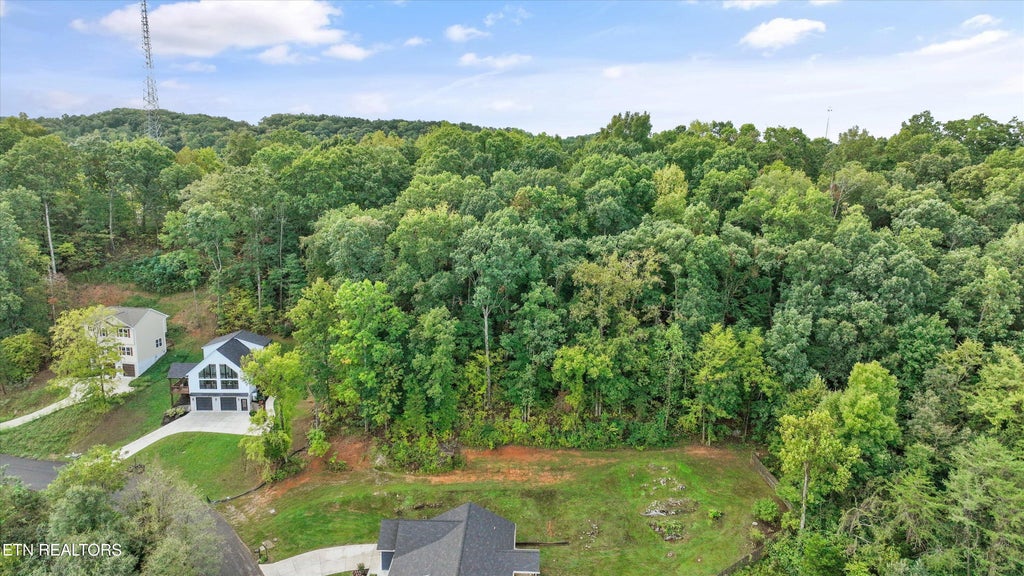 Photo of 41 Clear Creek Rd, Kodak, TN 37764 (MLS # 1356835)