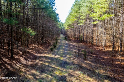 Tiny photo for Lower Rockwood Rd Lot 19, Rockwood, TN 37854 (MLS # 1357725)