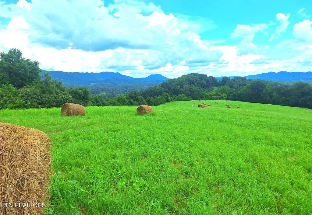 Photo of 305 Race Track Rd, Rogersville, TN 37857 (MLS # 1336757)