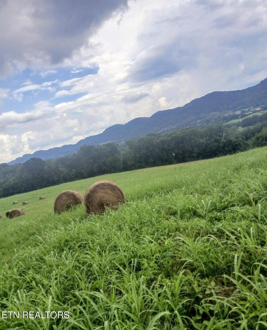 Photo of 305 Race Track Rd, Rogersville, TN 37857 (MLS # 1336757)