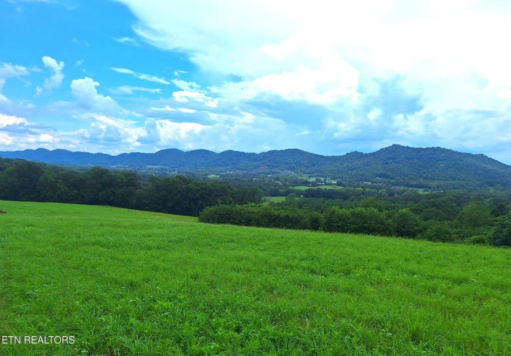 Photo of 305 Race Track Rd, Rogersville, TN 37857 (MLS # 1336757)
