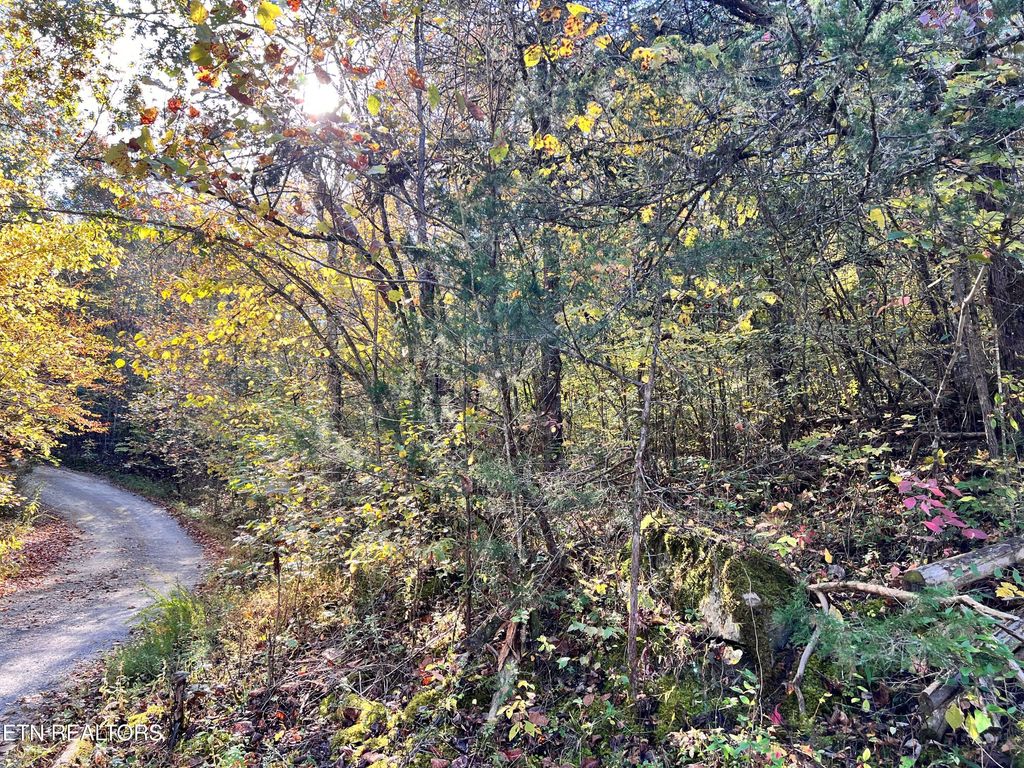 Photo of Lone Mountain Rd, New Tazewell, TN 37825 (MLS # 1282200)