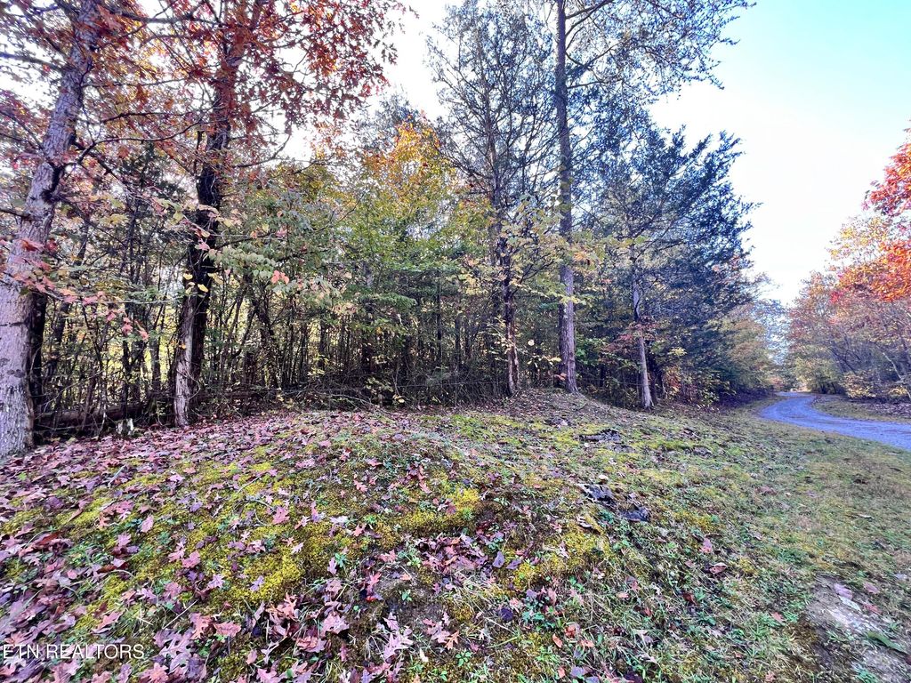 Photo of Lone Mountain Rd, New Tazewell, TN 37825 (MLS # 1282200)