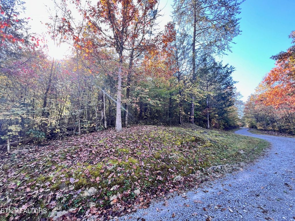 Photo of Lone Mountain Rd, New Tazewell, TN 37825 (MLS # 1282200)