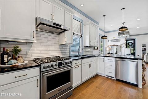 Tiny photo for 1539 Mystic St, Knoxville, TN 37922 (MLS # 1341601)