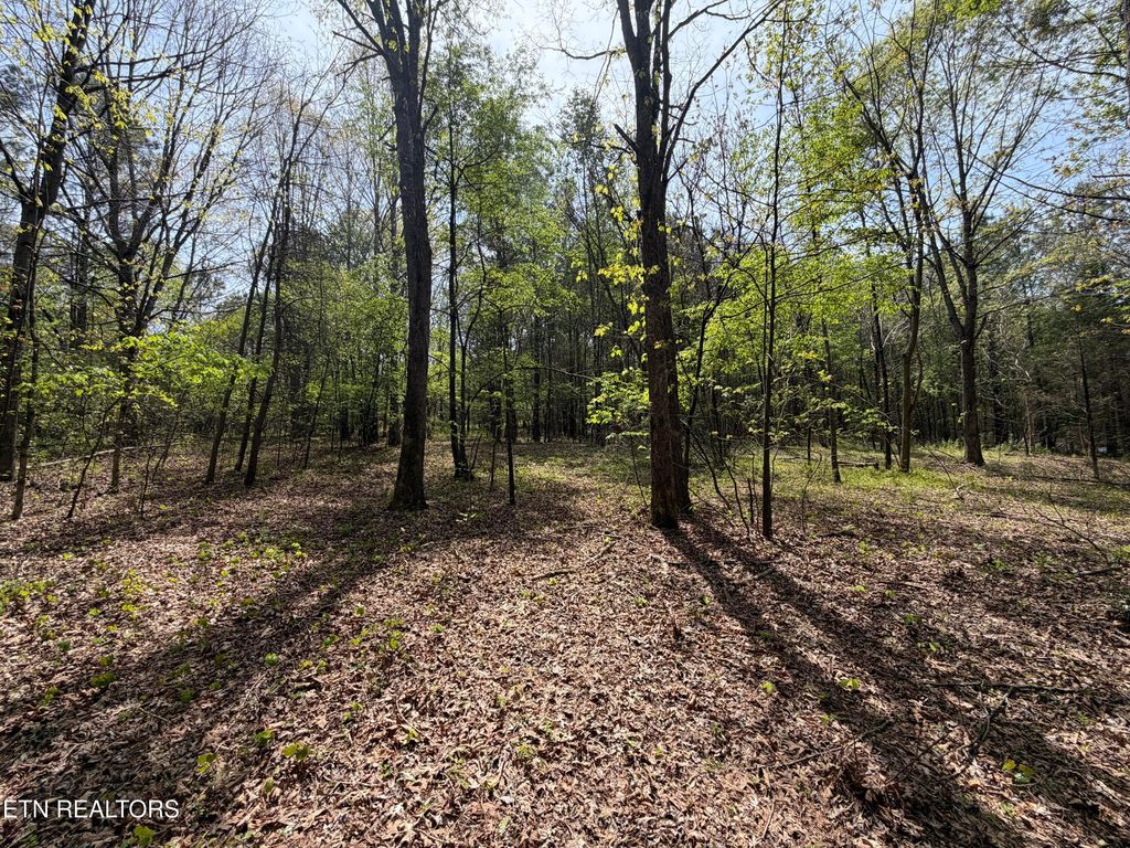 Photo of 304 Dry Valley Road, Loudon, TN 37774 (MLS # 1336032)