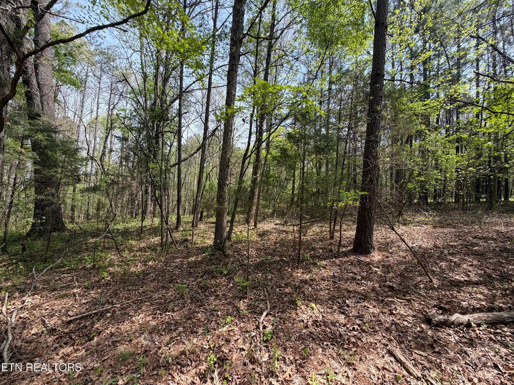 Photo of 304 Dry Valley Road, Loudon, TN 37774 (MLS # 1336032)