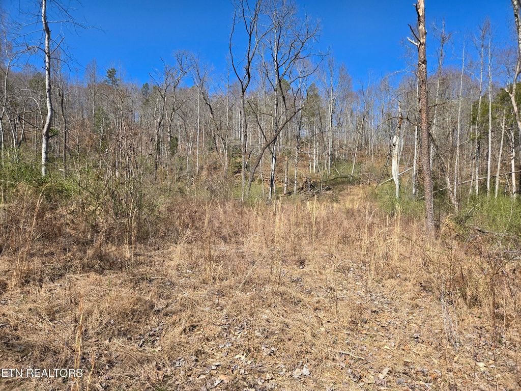 Photo of 110 Braden Chapel Rd. Rd, Speedwell, TN 37870 (MLS # 1294749)