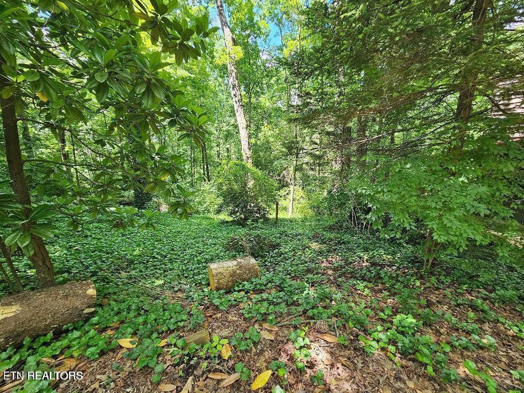 Photo of 8031 Shady Lane, Powell, TN 37849 (MLS # 1307575)