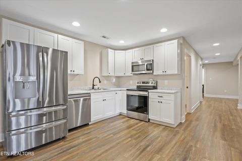 Tiny photo for 8521 Reed Rd, Powell, TN 37849 (MLS # 1324647)