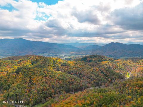 Tiny photo for 4167 Chamberlain Lane, Sevierville, TN 37862 (MLS # 1321027)