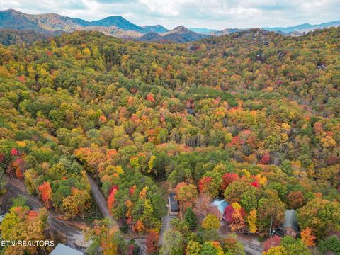 Tiny photo for 4167 Chamberlain Lane, Sevierville, TN 37862 (MLS # 1321027)