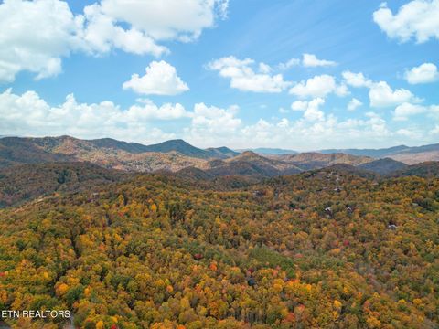 Tiny photo for 4167 Chamberlain Lane, Sevierville, TN 37862 (MLS # 1321027)