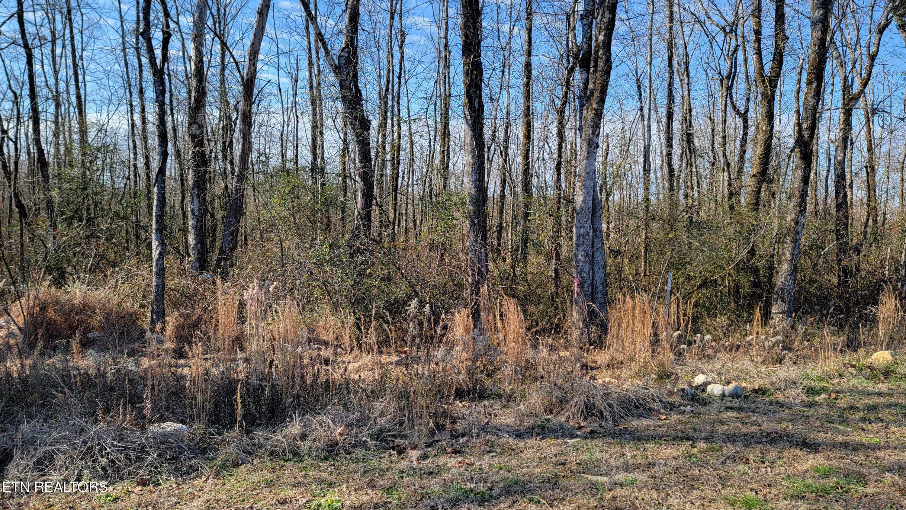 8756 Grey Reed Drive