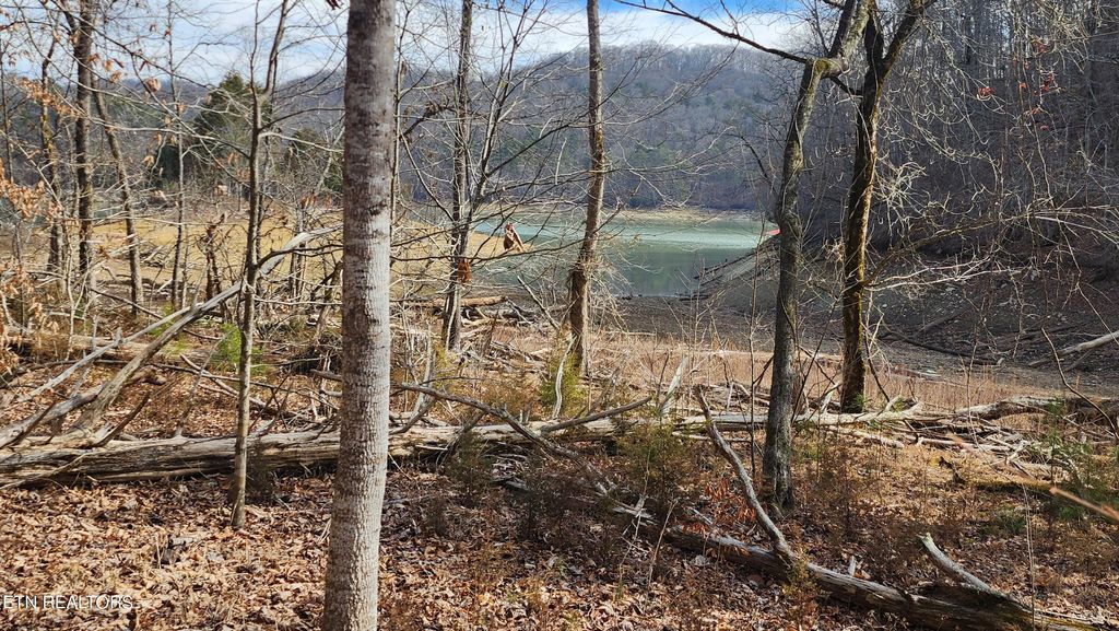 Photo of 312 Lot Bluff View Rd, New Tazewell, TN 37825 (MLS # 1252163)