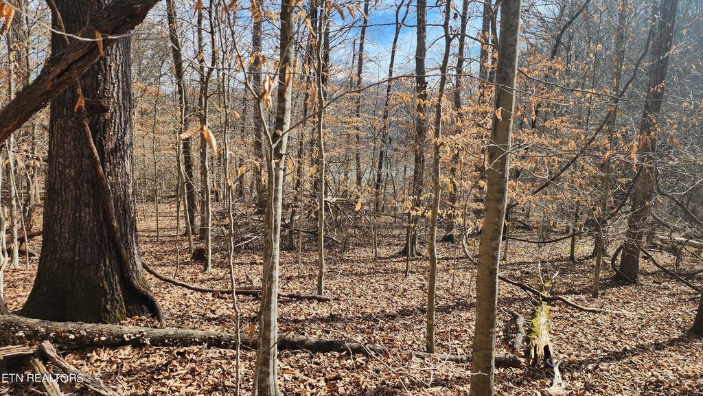 Photo of 312 Lot Bluff View Rd, New Tazewell, TN 37825 (MLS # 1252163)