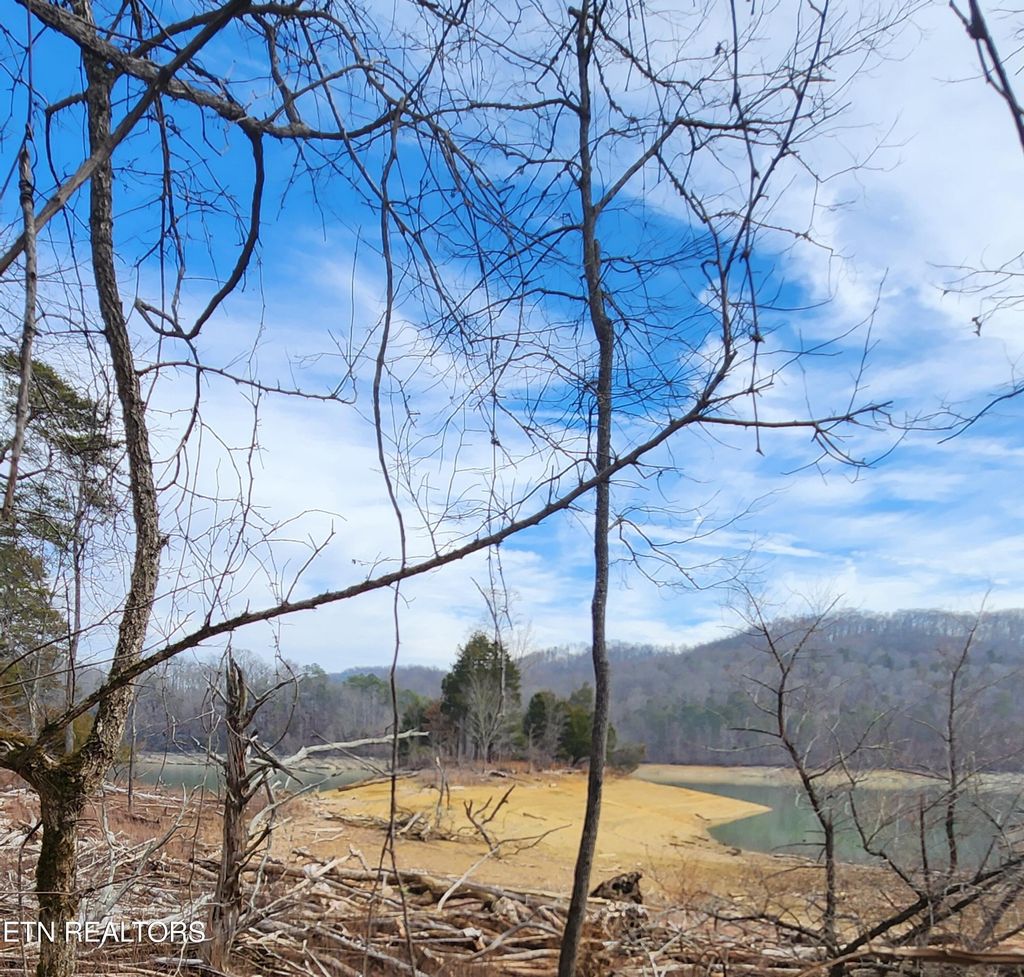 Photo of 312 Lot Bluff View Rd, New Tazewell, TN 37825 (MLS # 1252163)