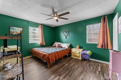 Tiny photo for 307 McMasters Place, Maryville, TN 37801 (MLS # 1326195)