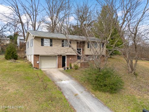 Tiny photo for 307 McMasters Place, Maryville, TN 37801 (MLS # 1326195)