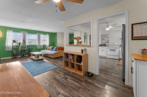 Tiny photo for 307 McMasters Place, Maryville, TN 37801 (MLS # 1326195)