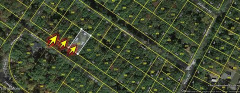 Tiny photo for 373375 Beta Drive Drive, Spring City, TN 37381 (MLS # 1339674)
