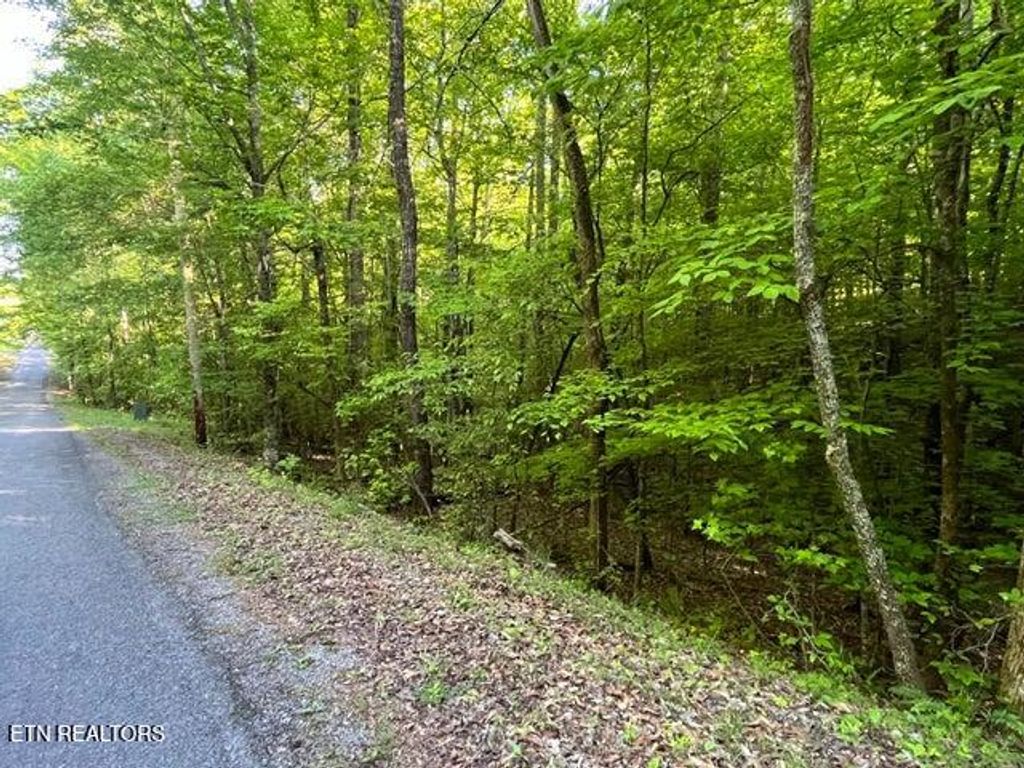 Photo of 373375 Beta Drive Drive, Spring City, TN 37381 (MLS # 1339674)