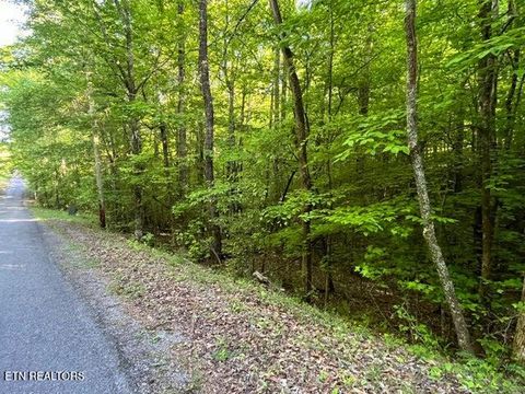 Tiny photo for 373375 Beta Drive Drive, Spring City, TN 37381 (MLS # 1339674)