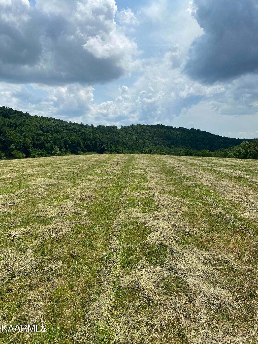 Photo of Minton Rd, New Tazewell, TN 37825 (MLS # 1192352)