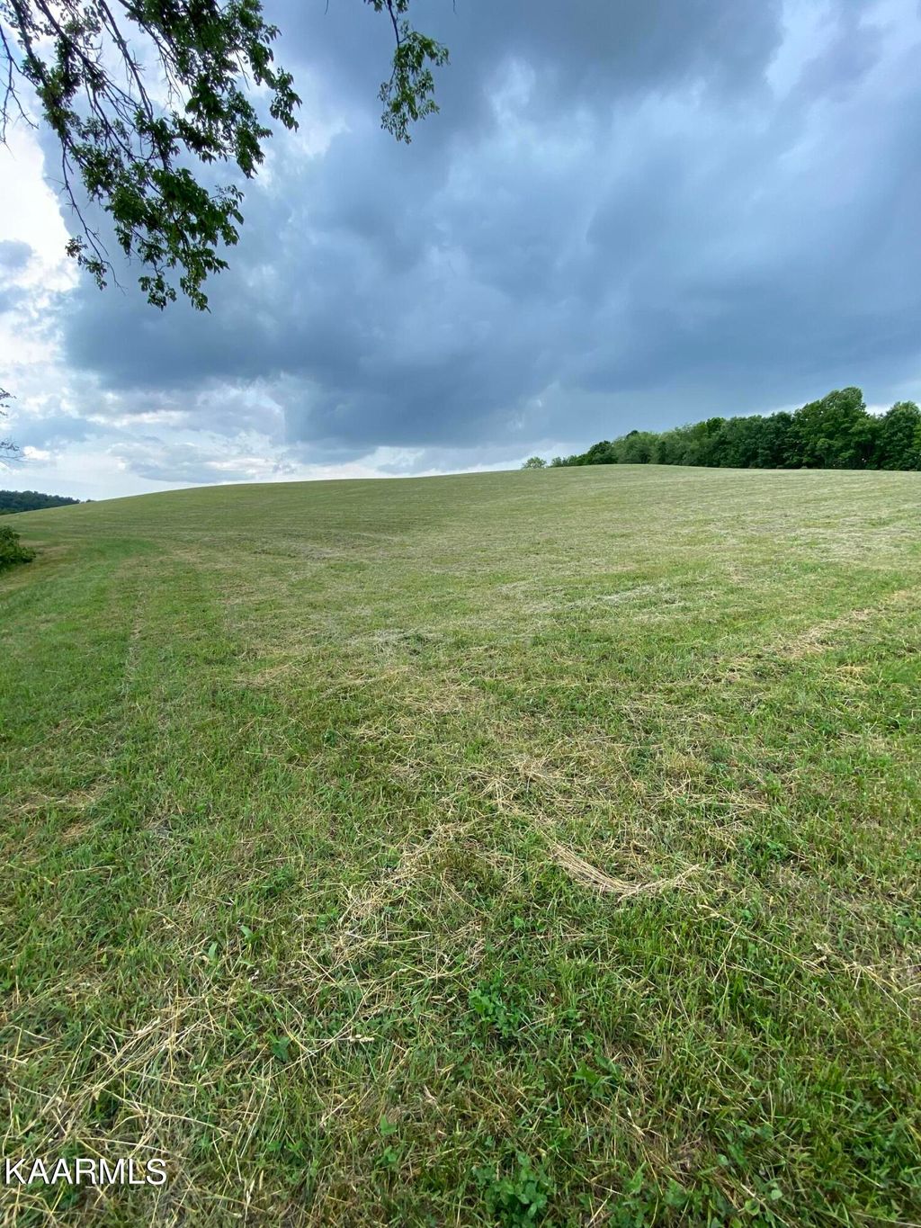 Photo of Minton Rd, New Tazewell, TN 37825 (MLS # 1192352)