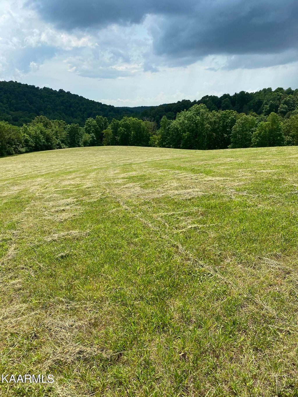 Photo of Minton Rd, New Tazewell, TN 37825 (MLS # 1192352)