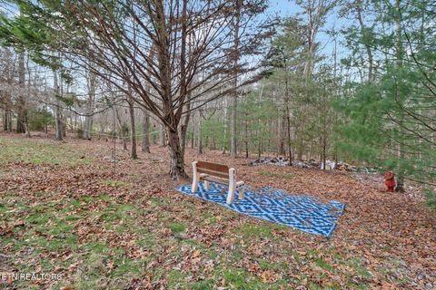 Tiny photo for 17 Dickens Lane, Fairfield Glade, TN 38558 (MLS # 1328028)