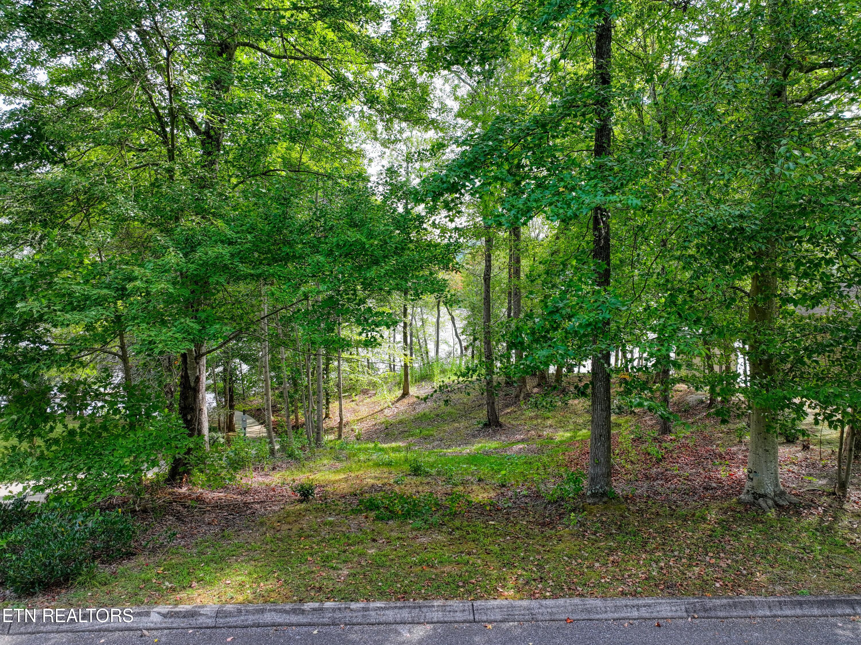 Photo 12 of 12 of 117 Osprey Way land
