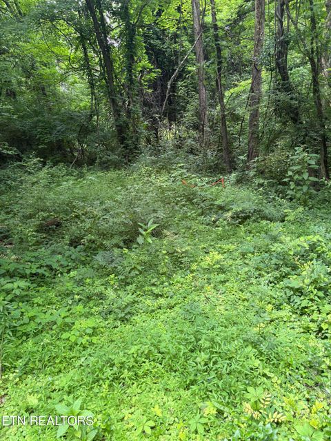 1122 Old Weisgarber Rd Knoxville TN 37909