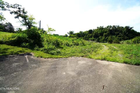Tiny photo for 00 Old Greeneville Hwy, Parrottsville, TN 37843 (MLS # 1346970)