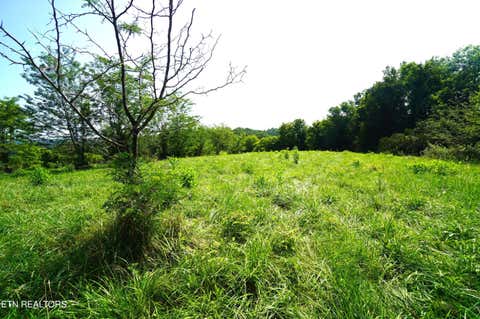 Tiny photo for 00 Old Greeneville Hwy, Parrottsville, TN 37843 (MLS # 1346970)