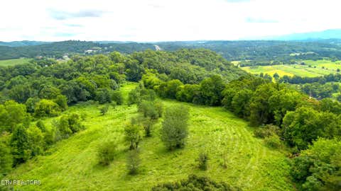 Tiny photo for 00 Old Greeneville Hwy, Parrottsville, TN 37843 (MLS # 1346970)