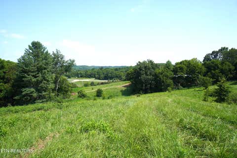 Tiny photo for 00 Old Greeneville Hwy, Parrottsville, TN 37843 (MLS # 1346970)