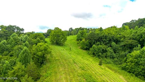 Tiny photo for 00 Old Greeneville Hwy, Parrottsville, TN 37843 (MLS # 1346970)
