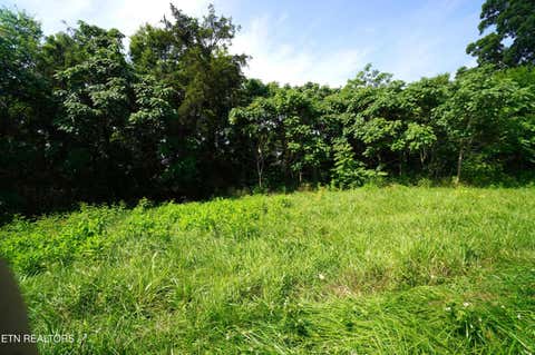 Tiny photo for 00 Old Greeneville Hwy, Parrottsville, TN 37843 (MLS # 1346970)