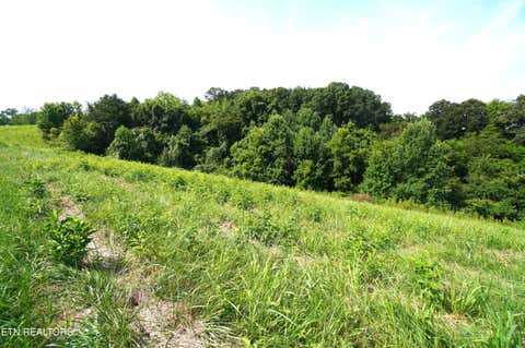 Tiny photo for 00 Old Greeneville Hwy, Parrottsville, TN 37843 (MLS # 1346970)