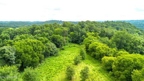 Tiny photo for 00 Old Greeneville Hwy, Parrottsville, TN 37843 (MLS # 1346970)
