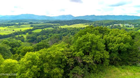 Tiny photo for 00 Old Greeneville Hwy, Parrottsville, TN 37843 (MLS # 1346970)