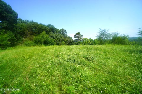 Tiny photo for 00 Old Greeneville Hwy, Parrottsville, TN 37843 (MLS # 1346970)